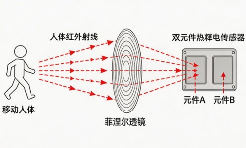 孕妇吃哪种dha对胎儿好-【孕妇吃哪种钙片含钙量高而且吸收好】孕妇吃哪种燕窝好 - 孕妇吃哪种钙效果好网